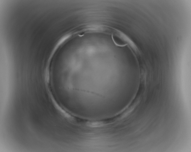 X0000114431095200910231229