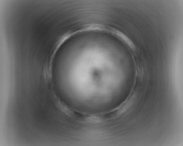 X0000114431097200910231229
