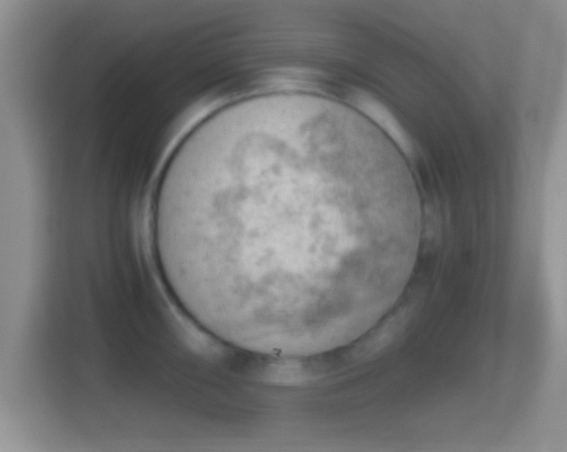 X0000114431098200910231229