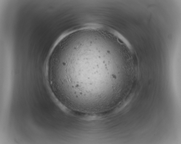 X0000114431099200910231229