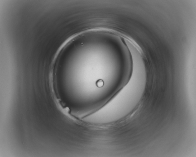 X0000114431100200910231229