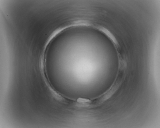 X0000114431101200910231229