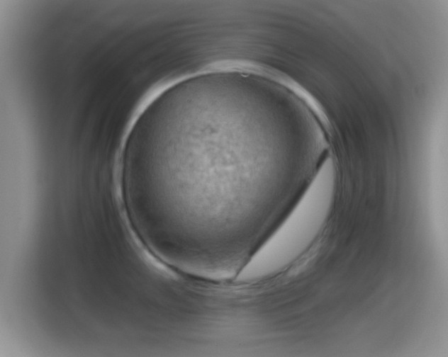 X0000114431102200910231229