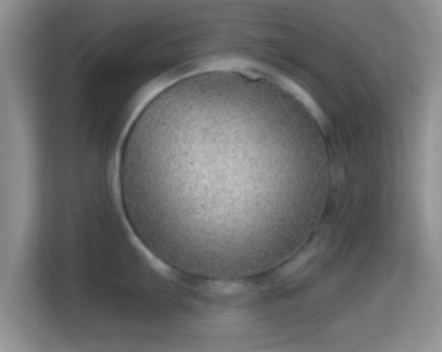 X0000114431103200910231229