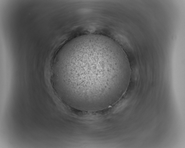 X0000114431105200910231228