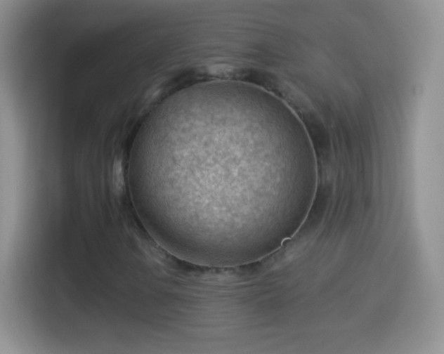 X0000114431106200910231228