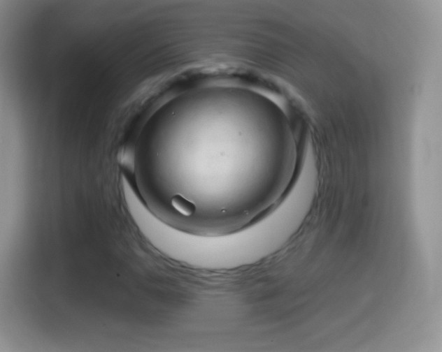 X0000114431110200910231228