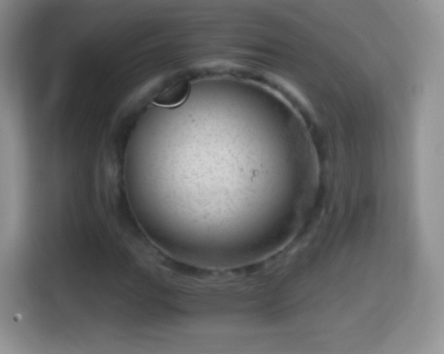 X0000114431111200910231228