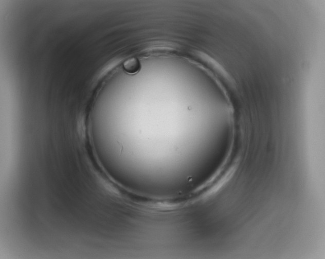 X0000114431113200910231228