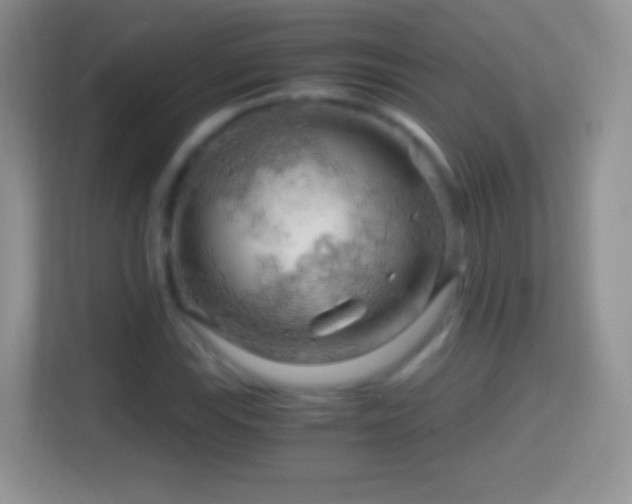 X0000114431115200910231228