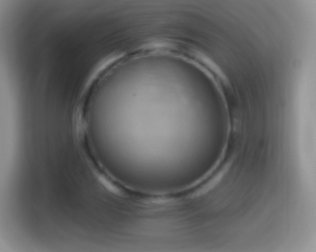 X0000114431117200910231228