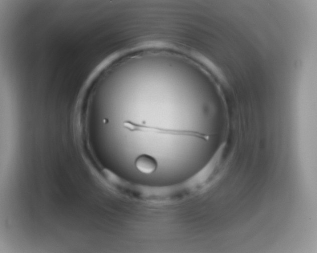 X0000114431118200910231228