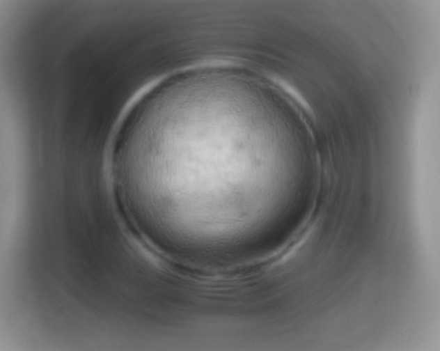 X0000114431119200910231228