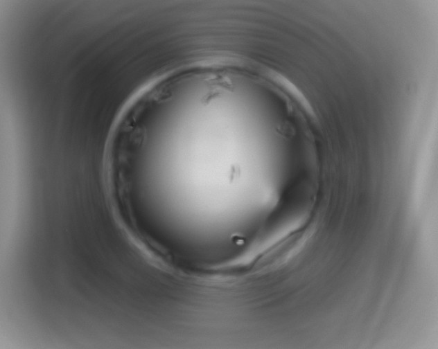X0000114431122200910231228