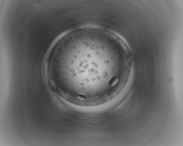 X0000114431123200910231228