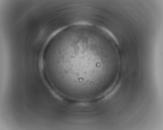 X0000114431125200910231228