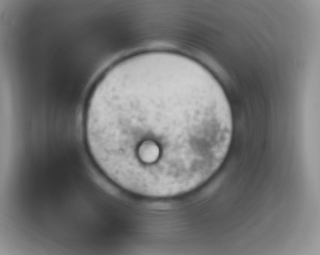 X0000114431126200910231228