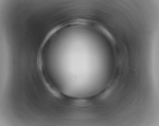 X0000114431131200910231228