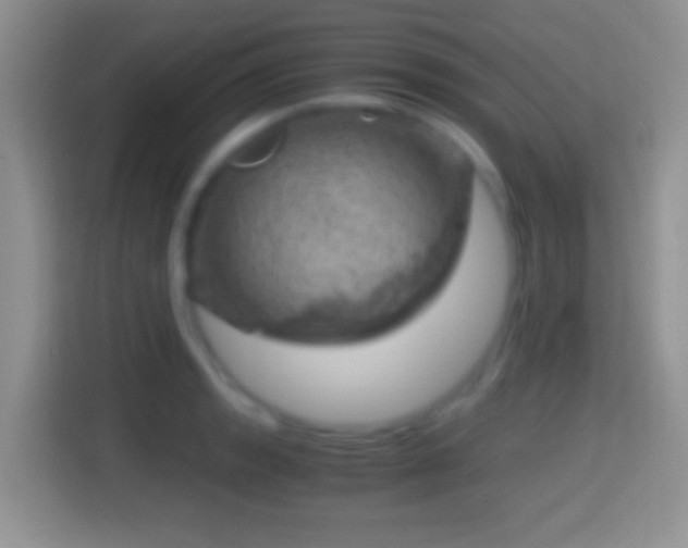 X0000114431133200910231228