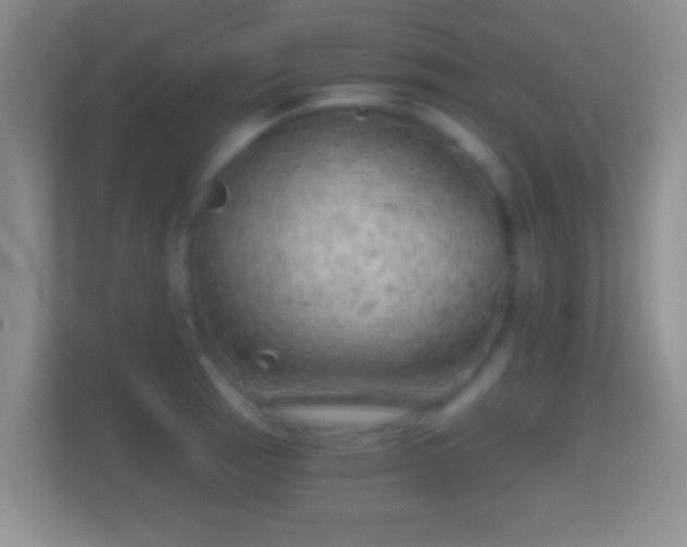 X0000114431137200910231228