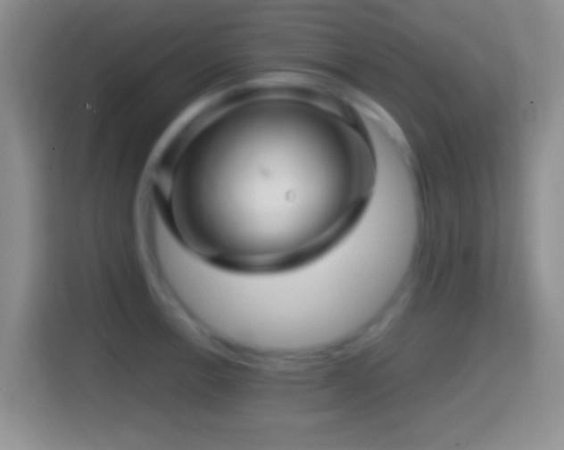 X0000114431138200910231228