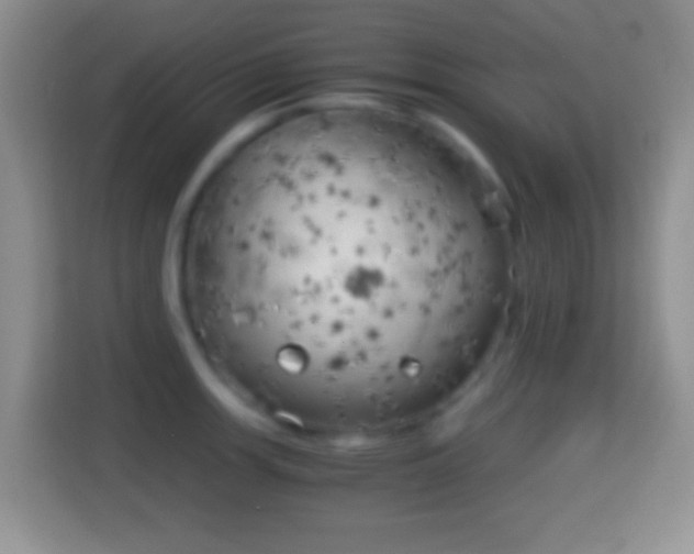 X0000114431139200910231228