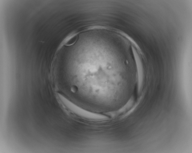 X0000114431145200910231228