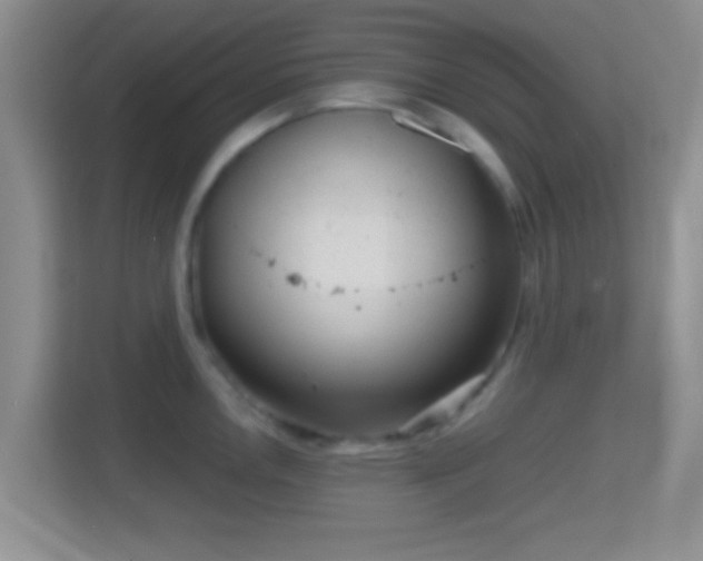 X0000114431146200910231228