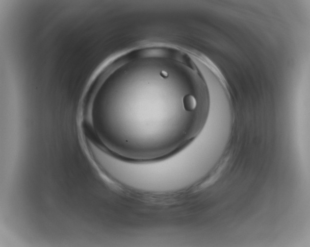 X0000114431149200910231228