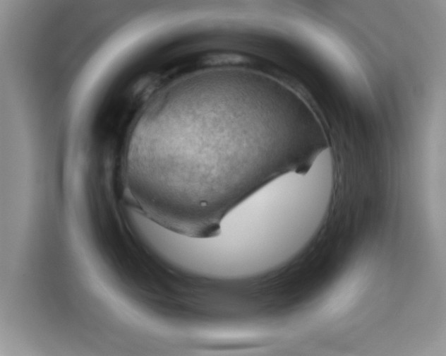 X0000114431151200910231229