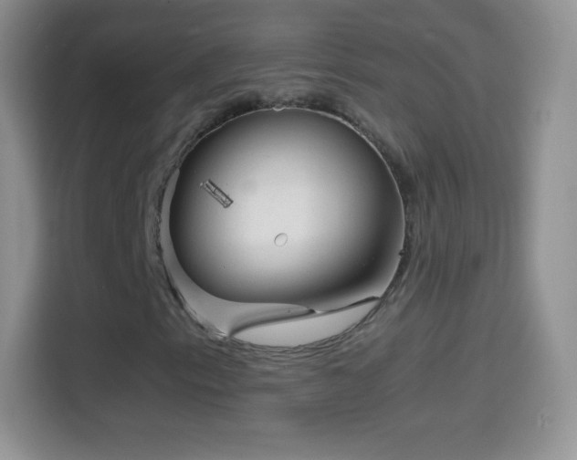 X0000114431153200910231228