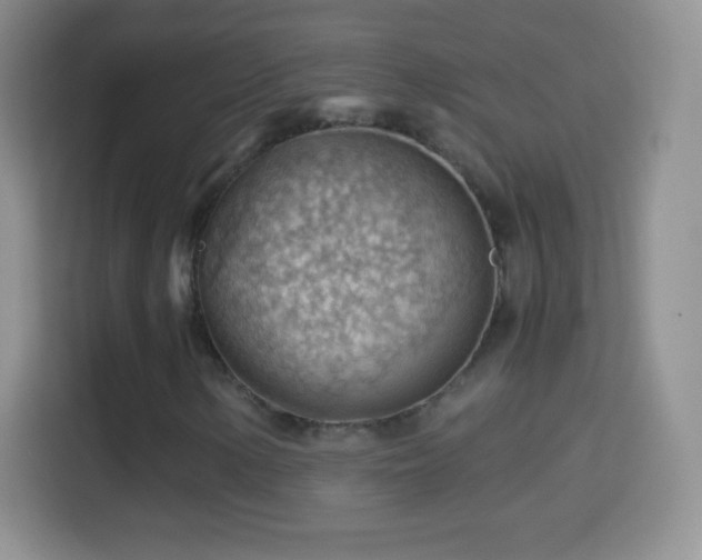 X0000114431154200910231228