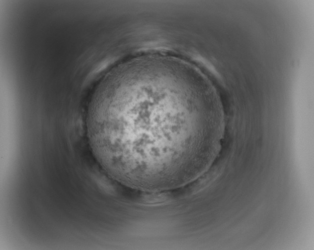 X0000114431159200910231228