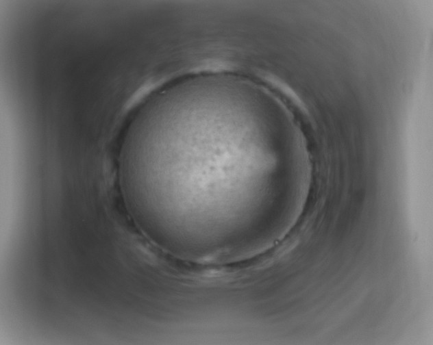 X0000114431160200910231228