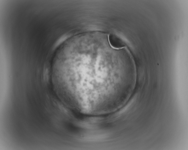 X0000114431163200910231228