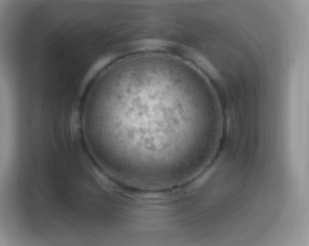 X0000114431164200910231228