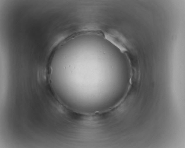 X0000114431165200910231228