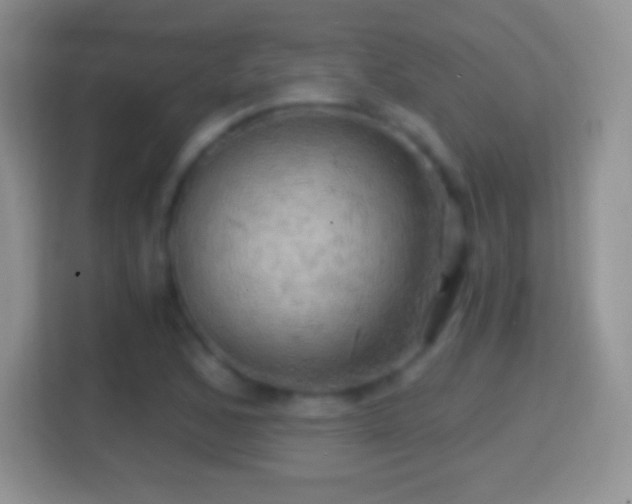 X0000114431168200910231228