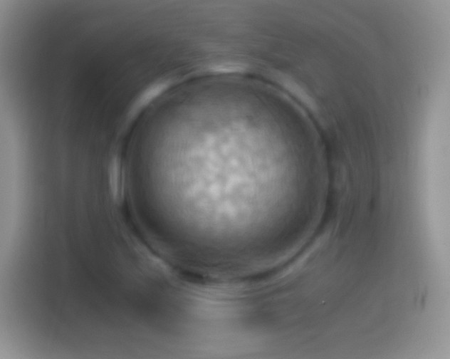 X0000114431171200910231228