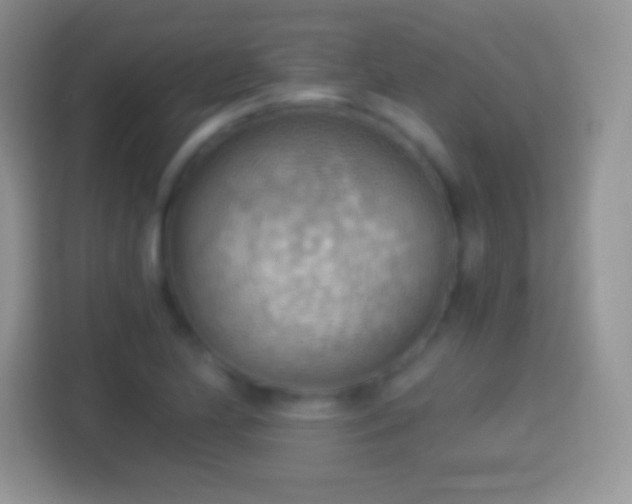 X0000114431174200910231228