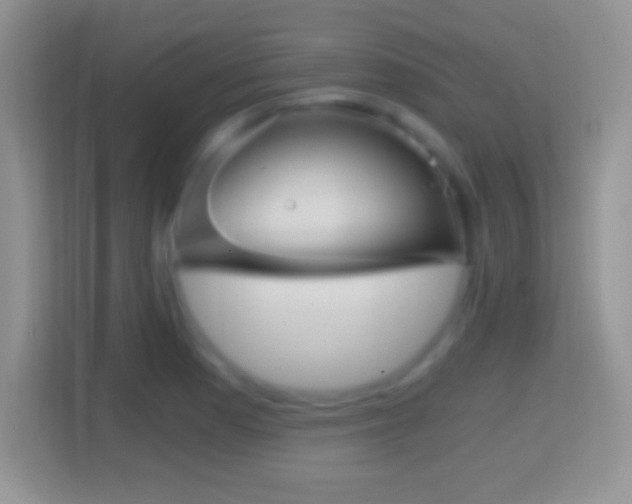 X0000114431177200910231228