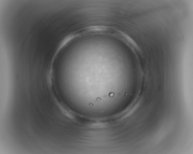 X0000114431178200910231228