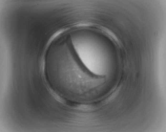 X0000114431179200910231228