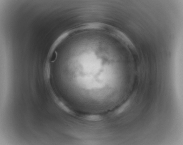 X0000114431180200910231228