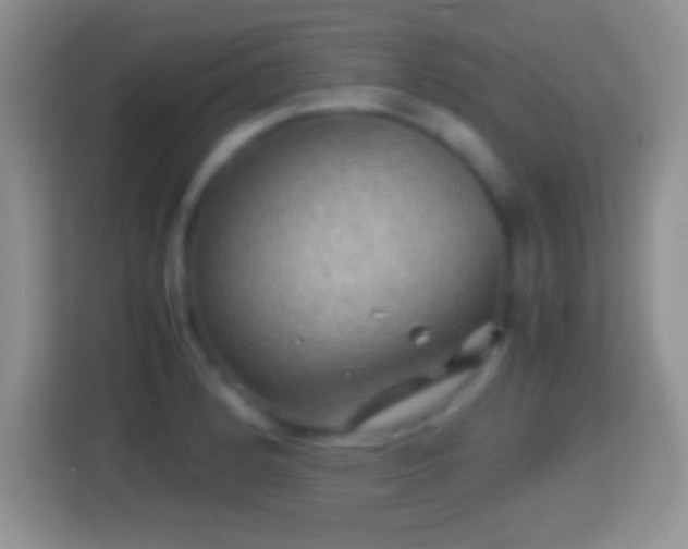 X0000114431184200910231227