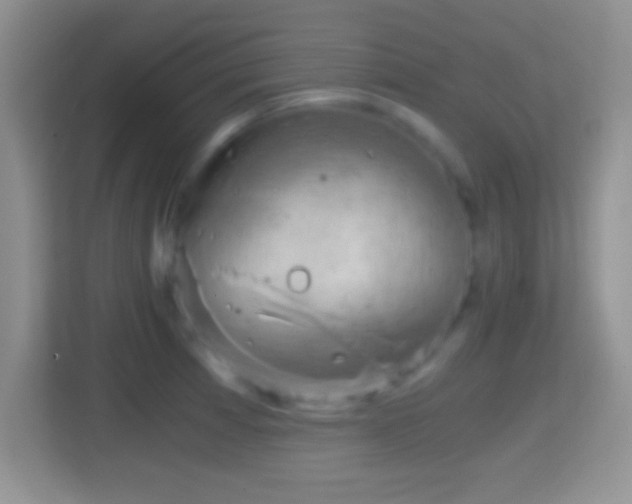 X0000114431185200910231227