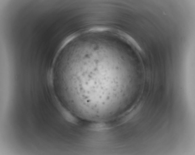 X0000114431186200910231227