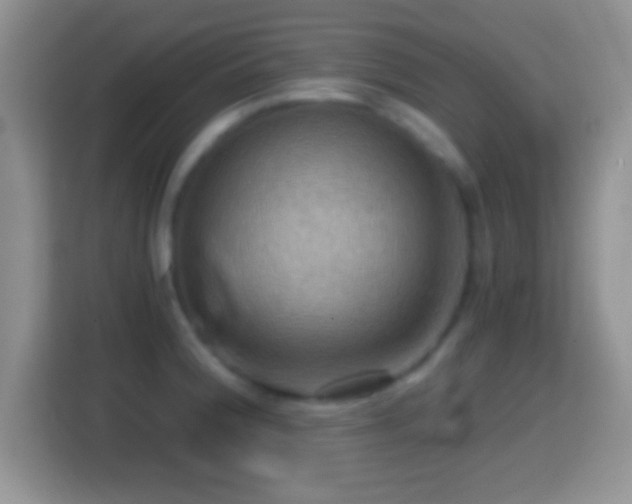X0000114431188200910231227