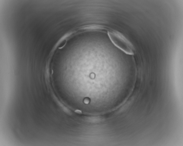 X0000114431189200910231227