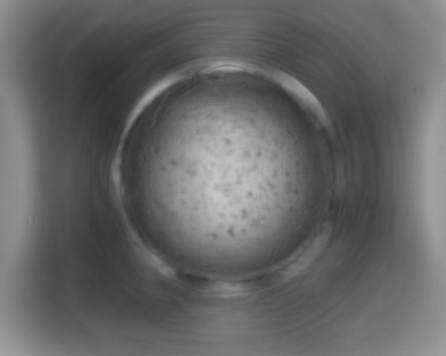 X0000114431190200910231227